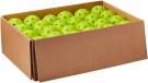 Wilson TRU32 Pickleball 1 eske/ 48 Baller Yellow thumbnail