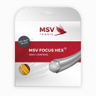 MSV FOCUS HEX SET 12M GUL. thumbnail